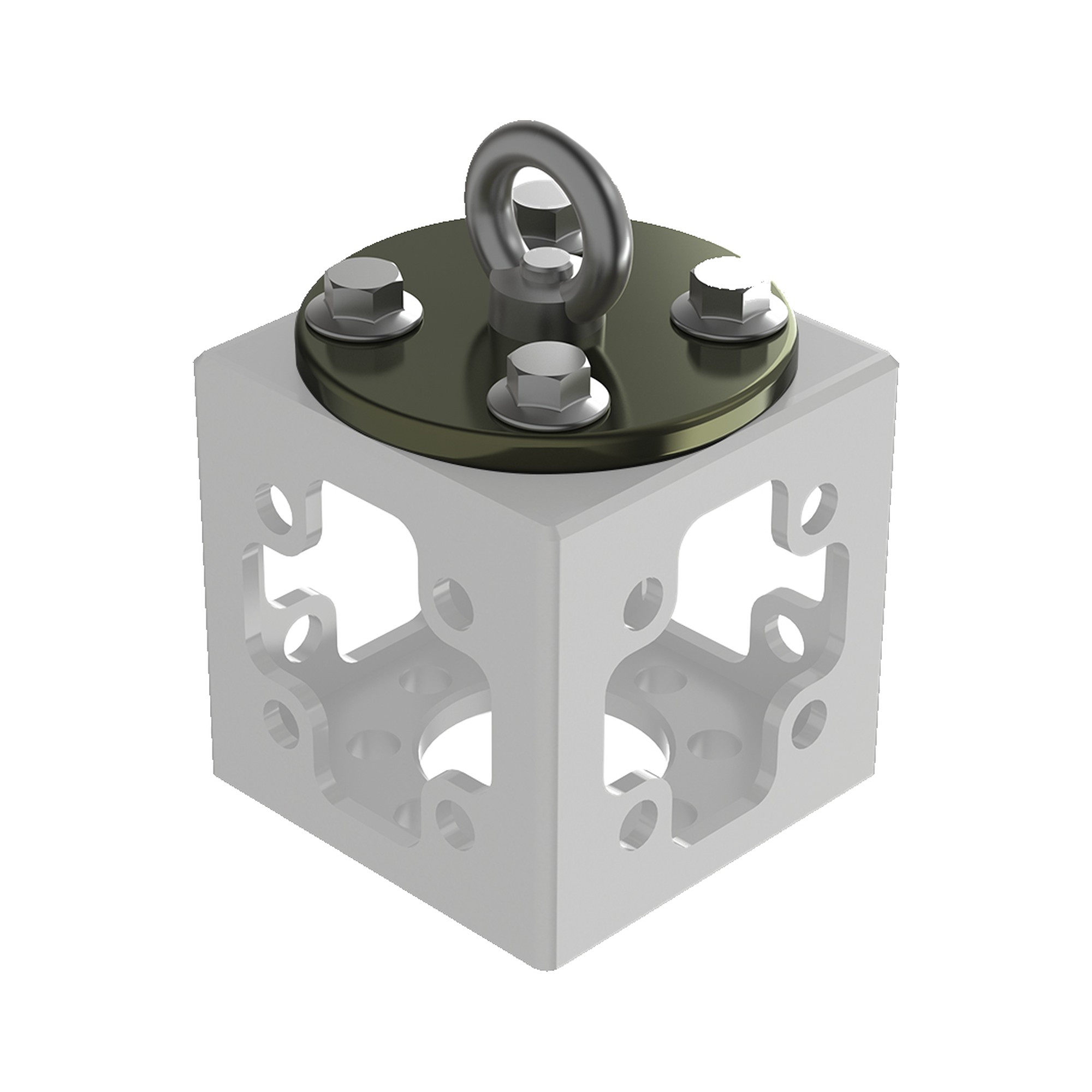 Eye Screw Plate for Modulus-X®